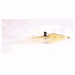 A.Jensen SEATROUT - Crangon Shrimp