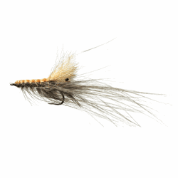 A.Jensen SEATROUT Pattegrisen Tan