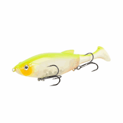 Shimano Yasei Hyper Hybrid til geddefiskeri.
