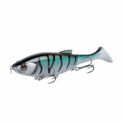 Shimano Yasei Hyper Hybrid til geddefiskeri.