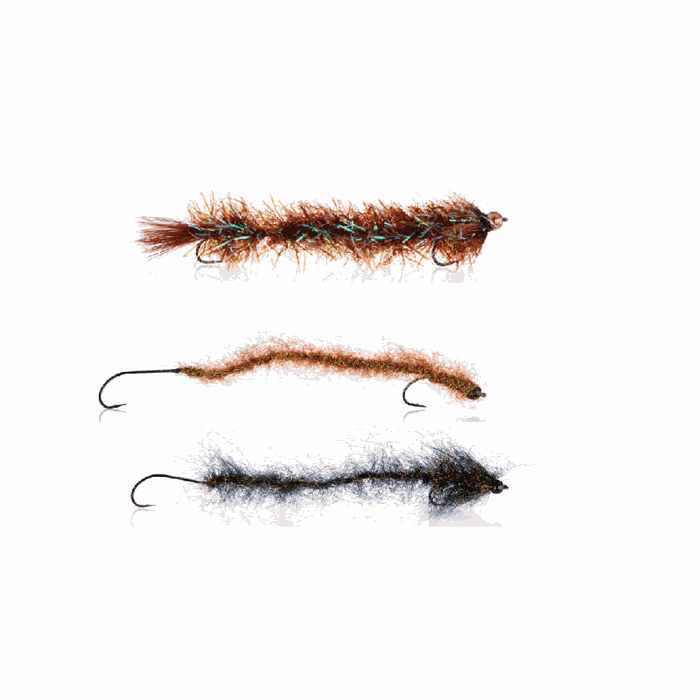 A.Jensen børsteorme fluer til kysten 3 stk