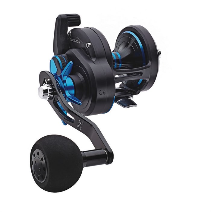 Daiwa 18 Saltist 30 H 